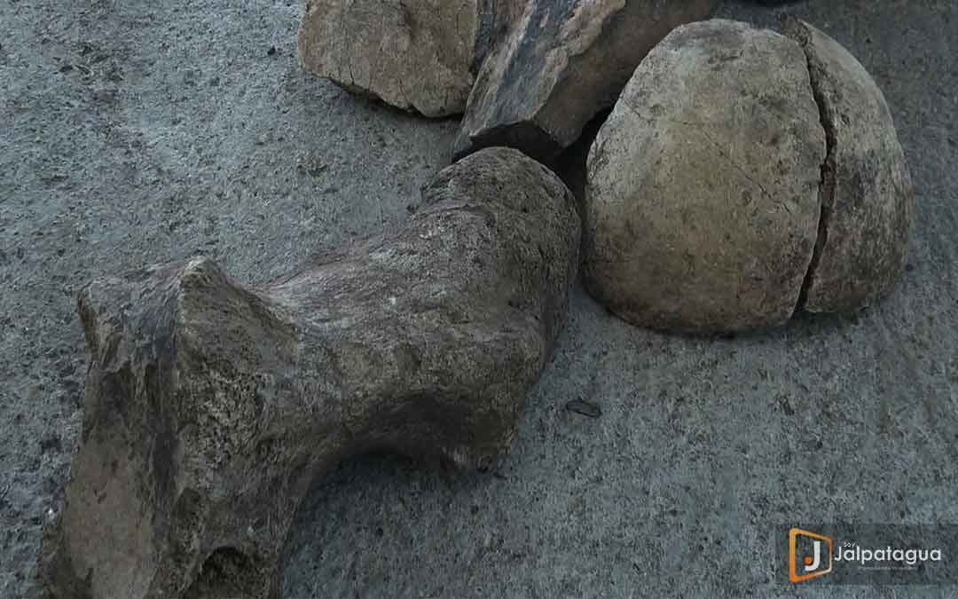 HALLAN EN JALPATAGUA RESTOS DE UN MEGATHERIUM