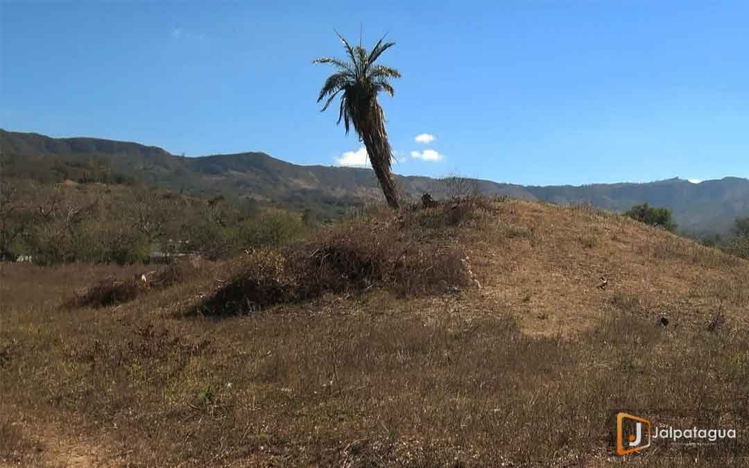 SITIO ARQUEOLÓGICO LOS CERRITOS: CONOZCA SU IMPORTANCIA